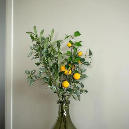 Appartement Elysian By Alure *